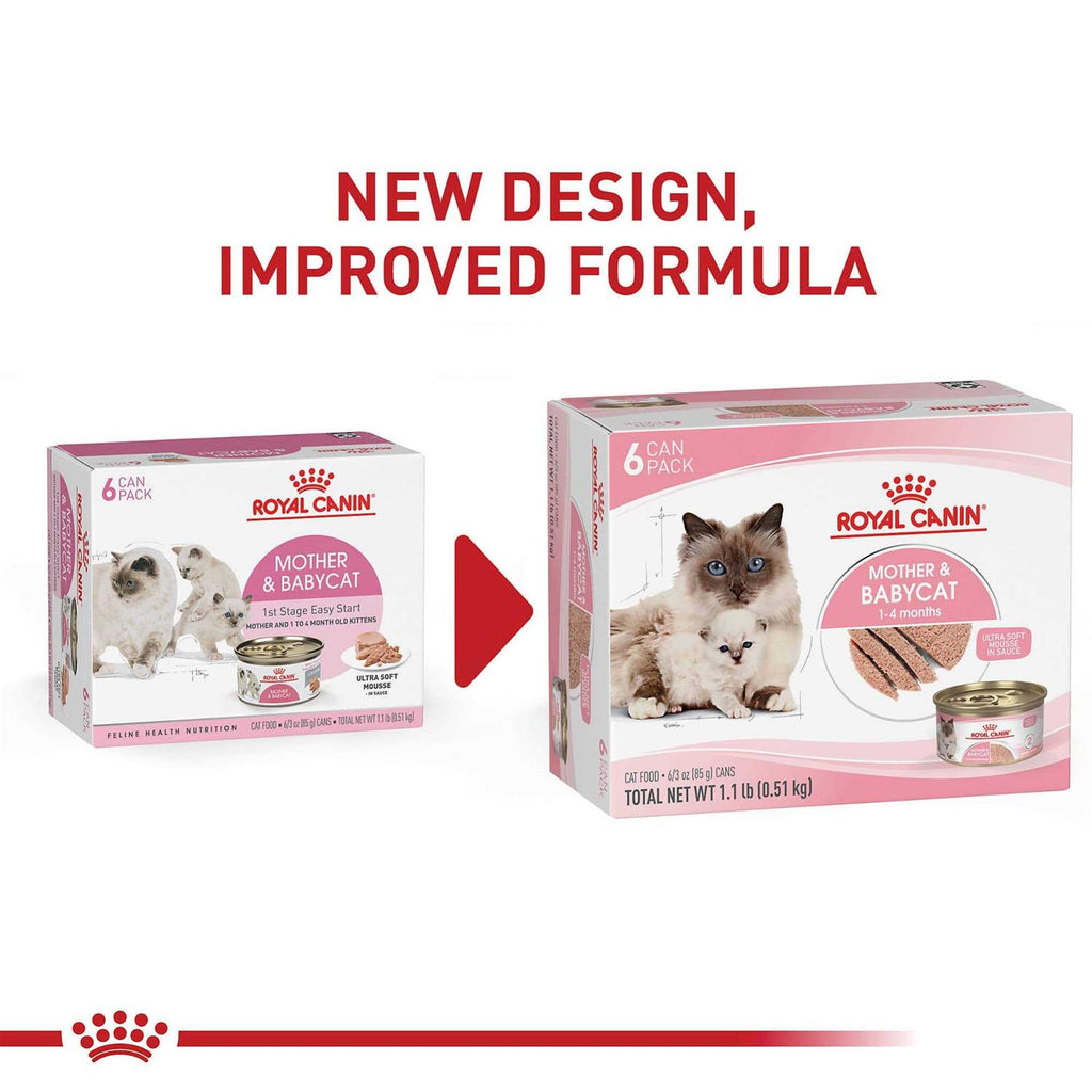 Canned Cat Food X4368