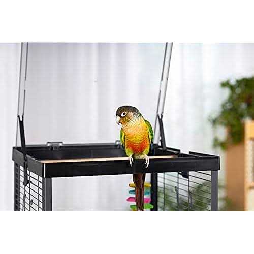 Bird Cage O7007