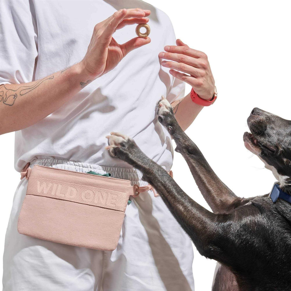 Cotton Dog Treat Pouch F212065