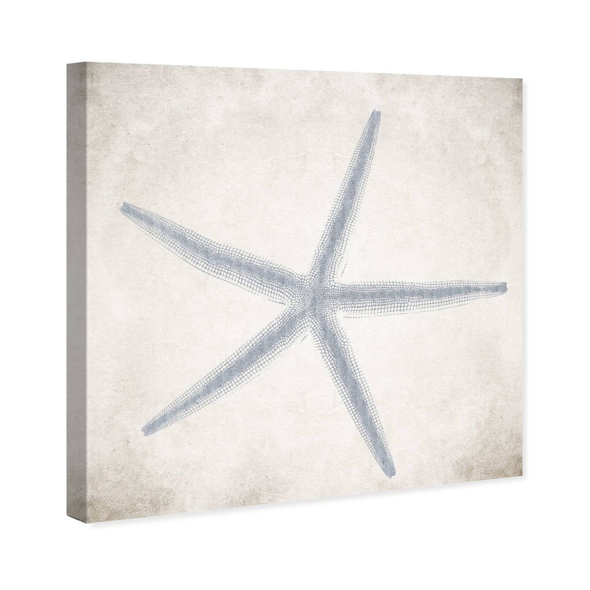 Blue Starfish Grey Coastal Canvas V233962