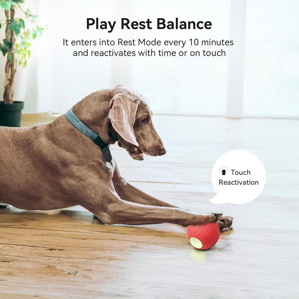 Smart Interactive Dog Toy with LED Lights Y57980