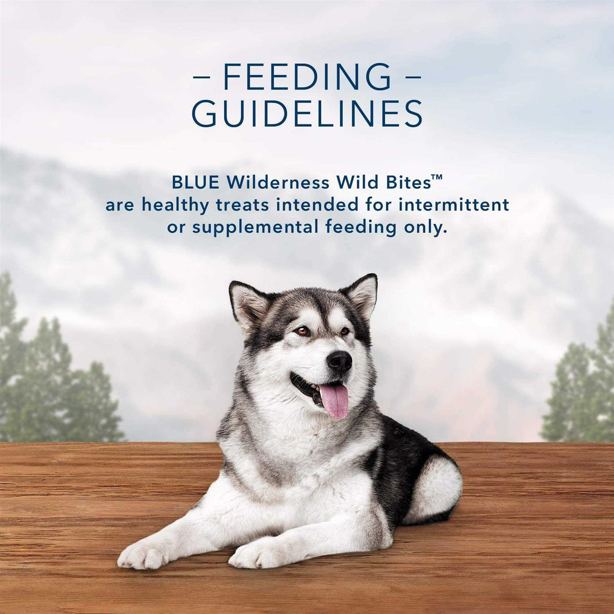 Wild Bites Pet Supplies W830773