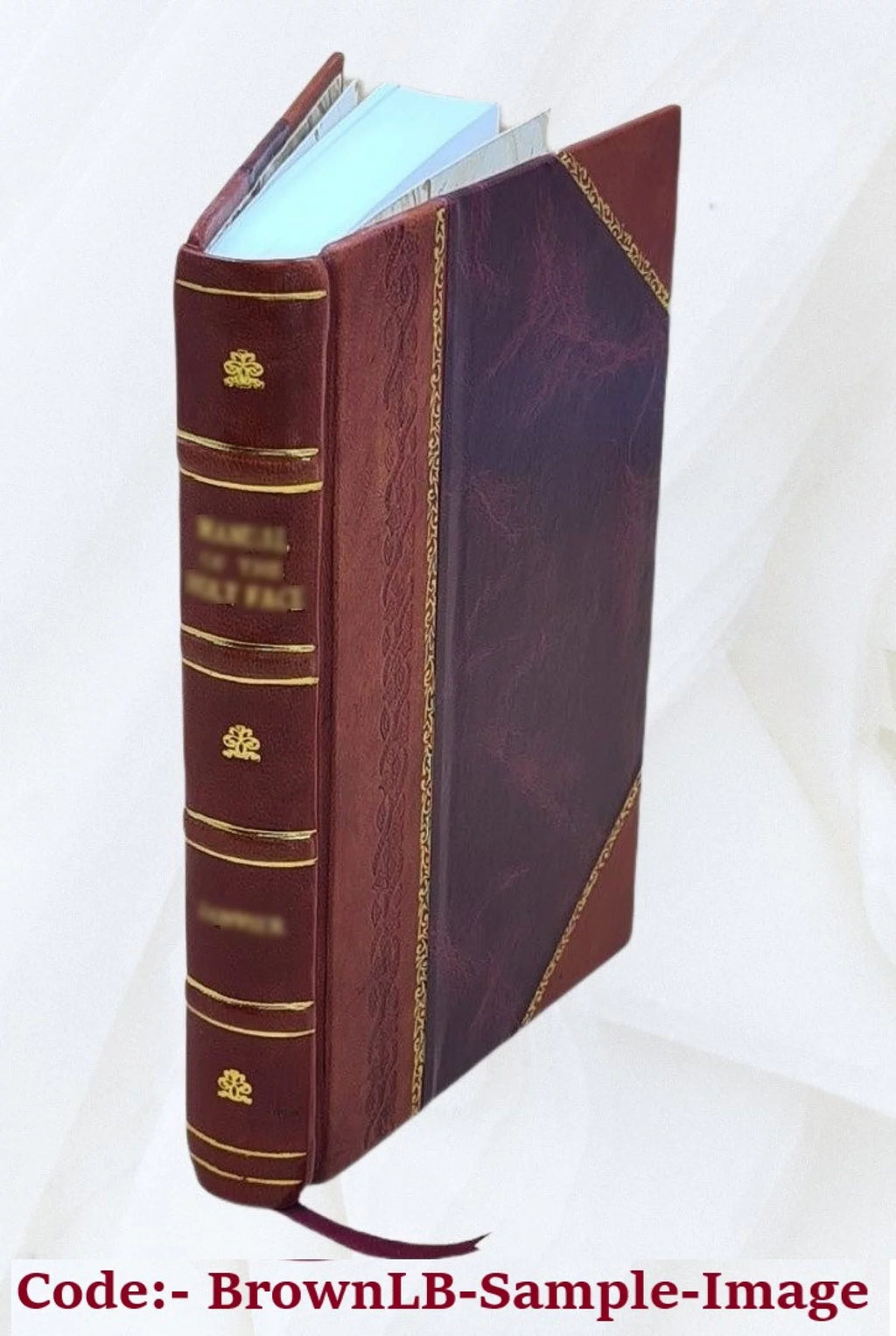 Life at high tide Leather Bound Q792
