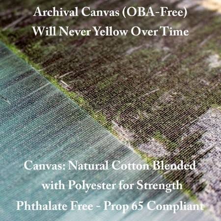 Canvas X9530