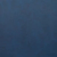 Set of 2 Blue Faux Leather Dining Chairs T8443