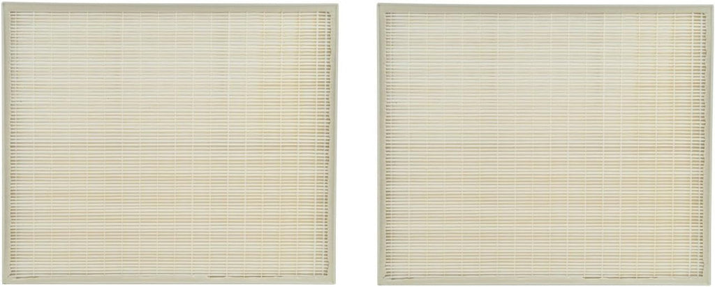 2 Packs True HEPA Carbon Pre Filter Set J996576