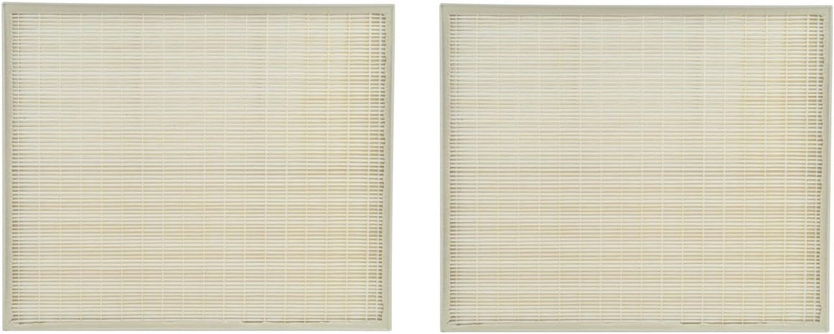 2 Packs True HEPA Carbon Pre Filter Set J996576