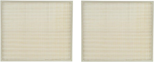 2 Packs True HEPA Carbon Pre Filter Set J996576