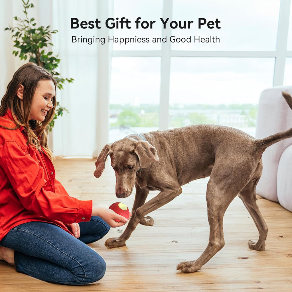 Smart Interactive Dog Toy with LED Lights Y57980