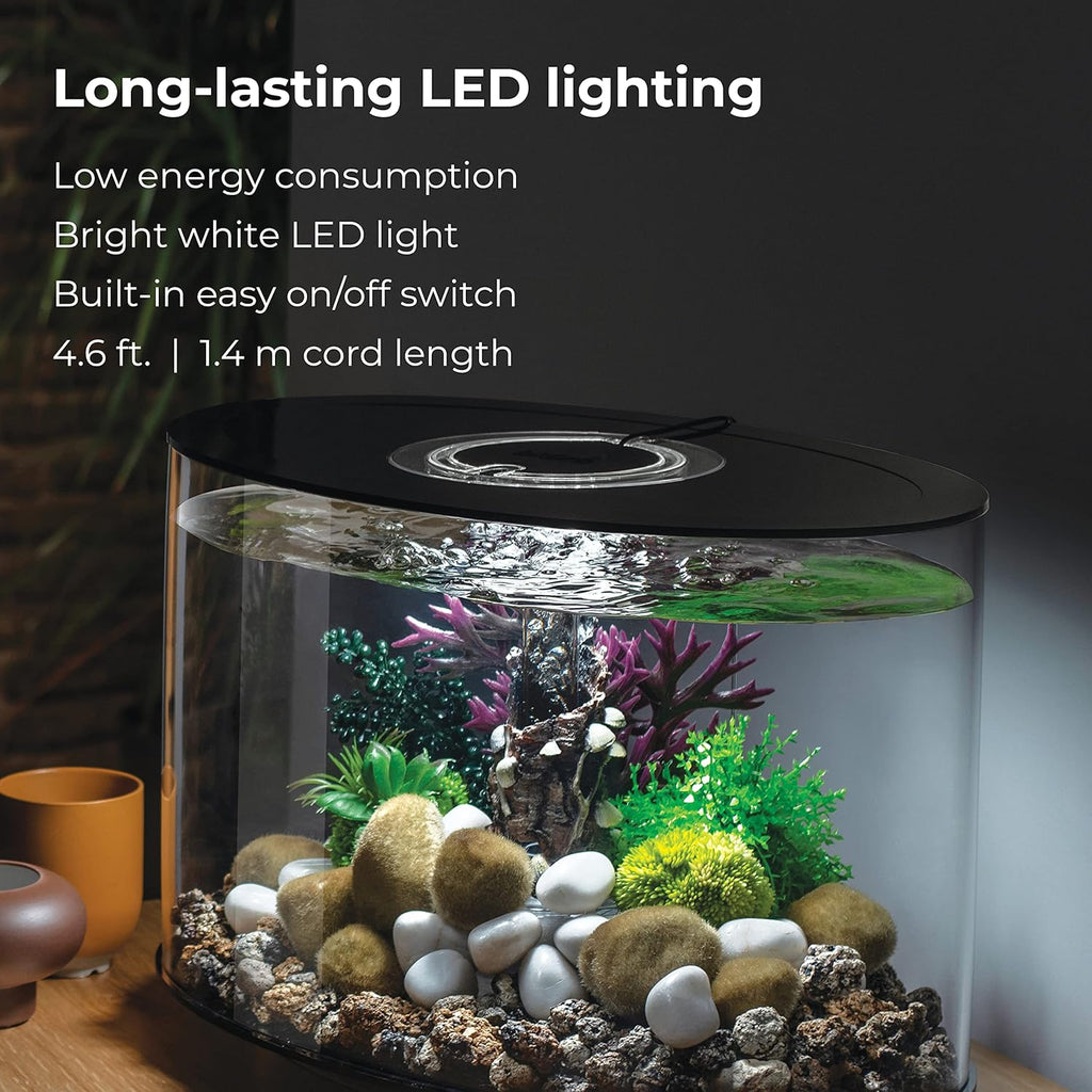 4-gallon Acrylic Aquarium with White LED Lights I15649