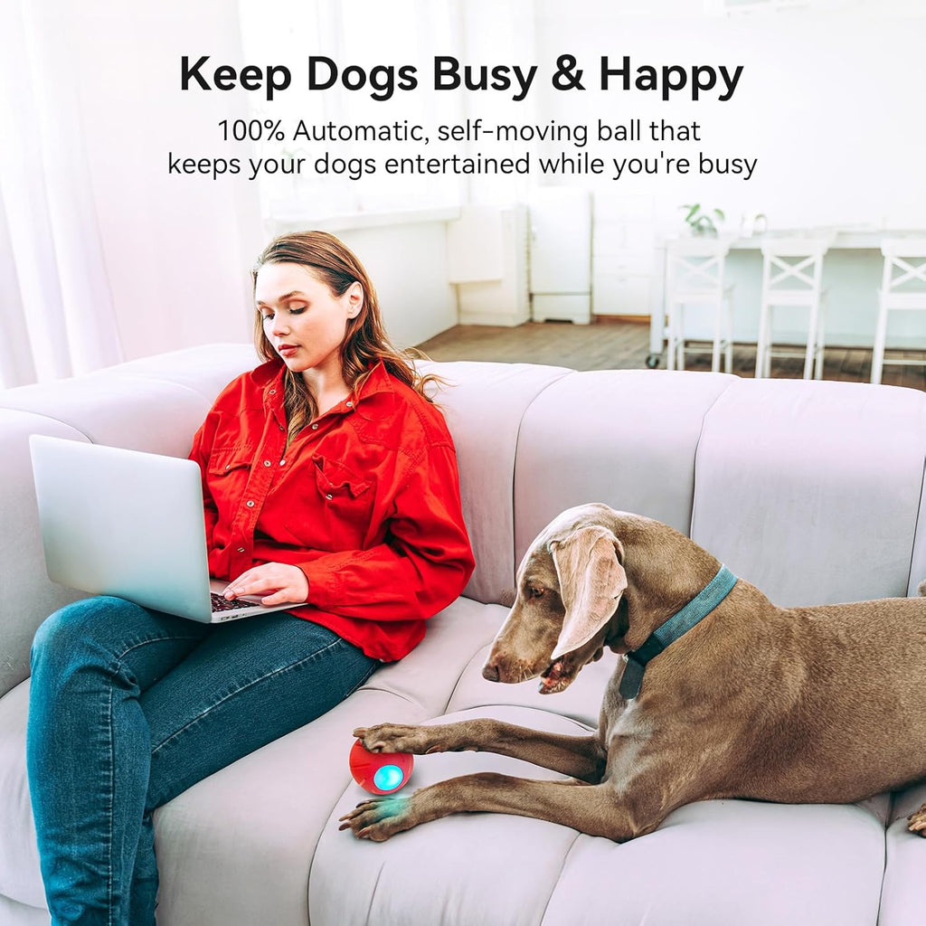 Smart Interactive Dog Toy with LED Lights Y57980