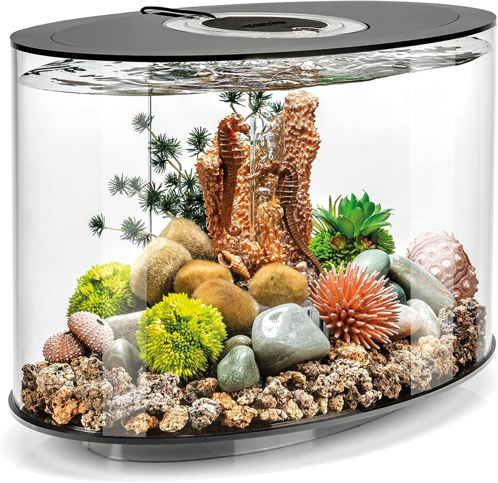 4-gallon Acrylic Aquarium with White LED Lights I15649