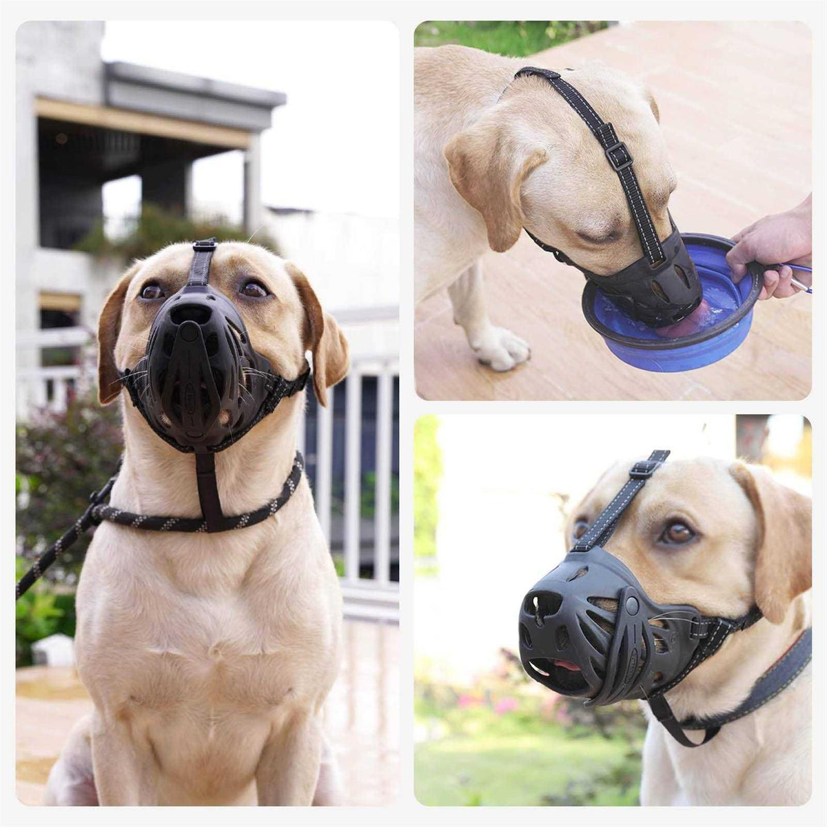 Adjustable Breathable Basket Dog Muzzle G604981
