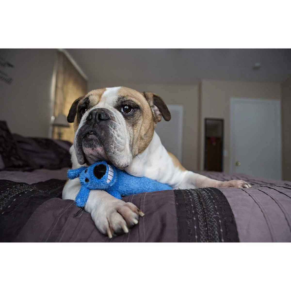 Jumbo Dog Toy J796982