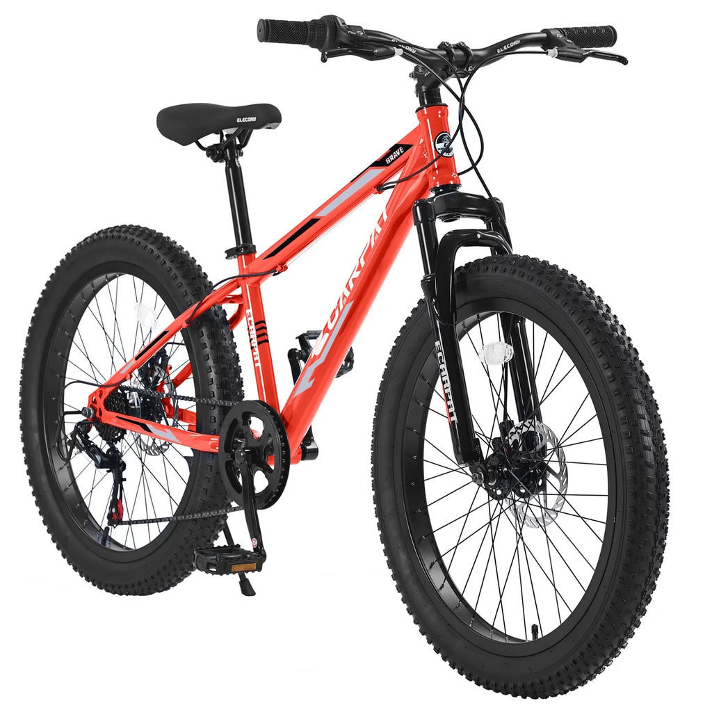 24 inch Fat Tire Mountain Bike F619787
