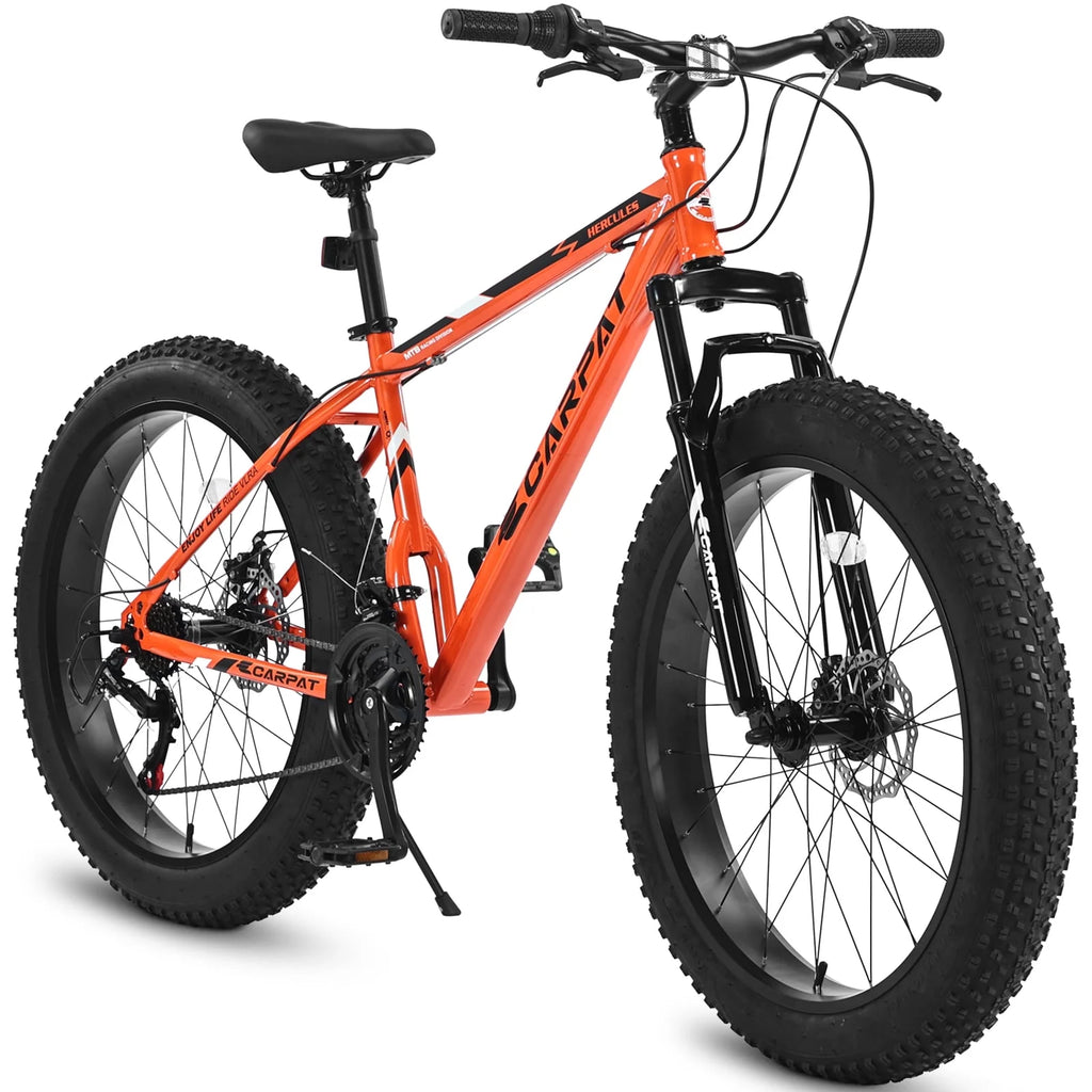 24 inch Fat Tire Mountain Bike F619787