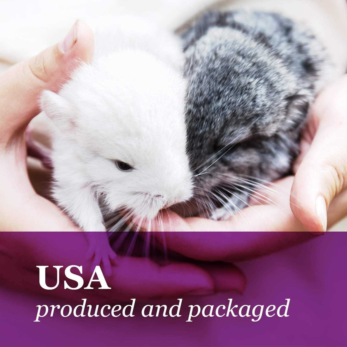 Natural Chinchilla Food Biscuits T14987