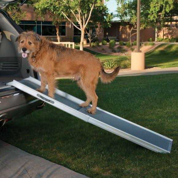 Grey Telescoping Pet Ramp E865