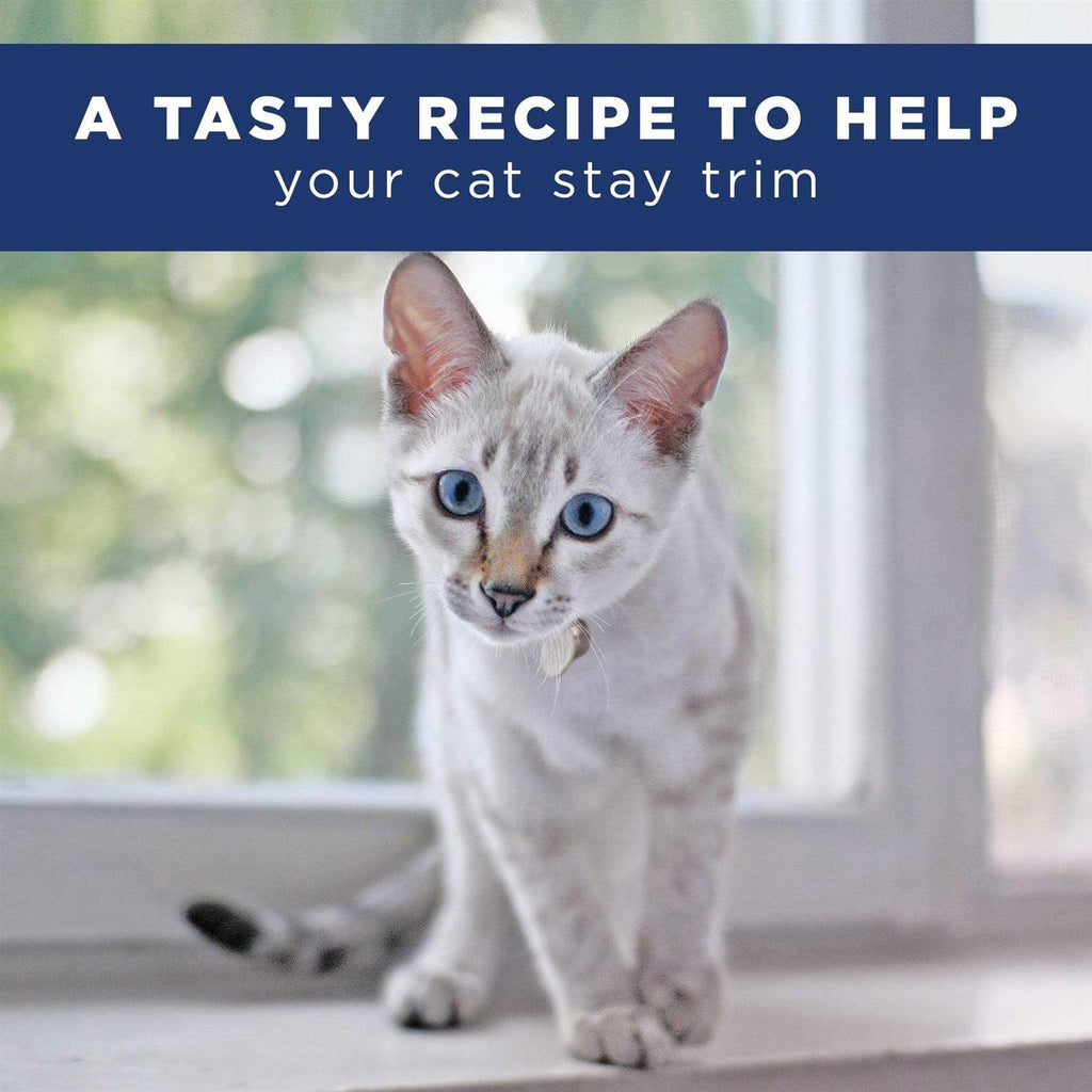 Adult Dry Cat Food D7213