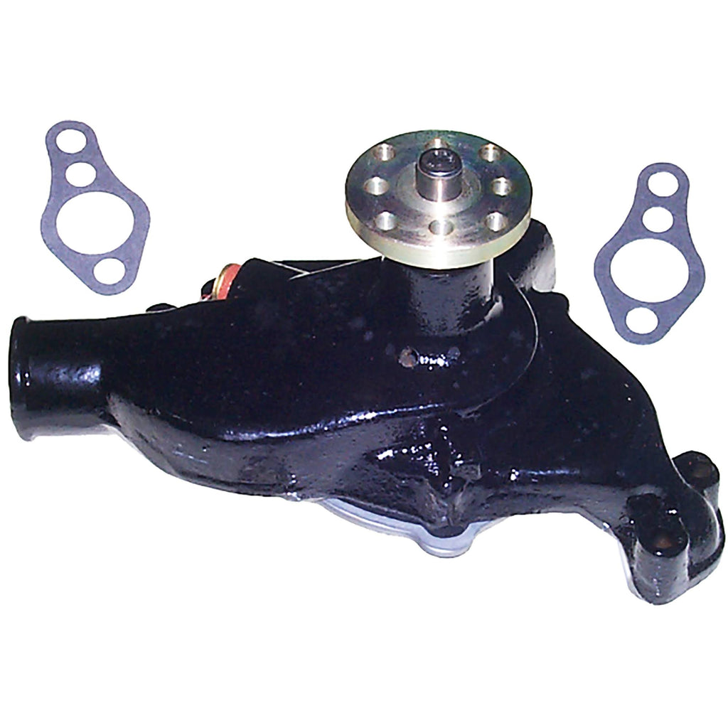 Water Pump C519947