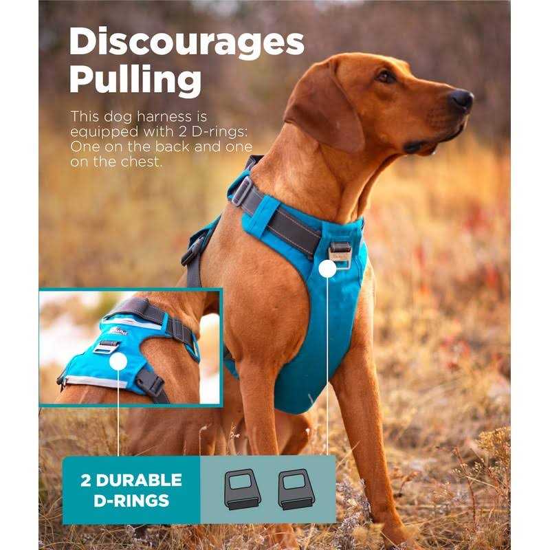 Adjustable Dog Harness with Pockets L64002
