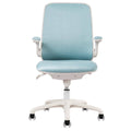 Blue PE Seat Adjustable Height Task Chair with Armrests D131