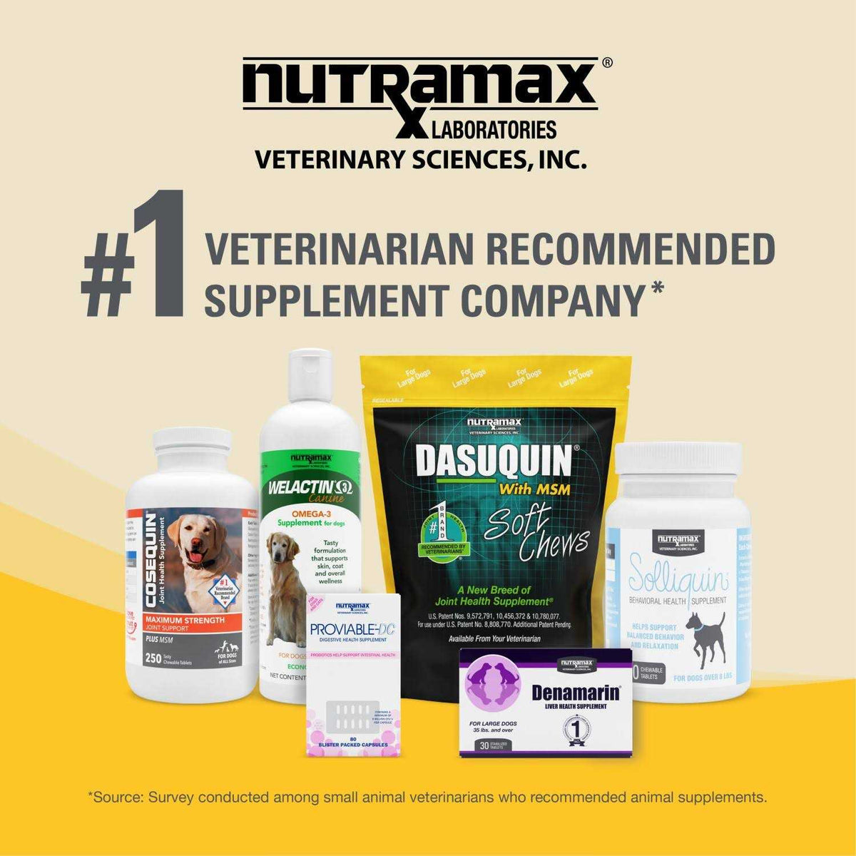 Joint Health Supplement with MSM for Small to Medium Dogs Q90496