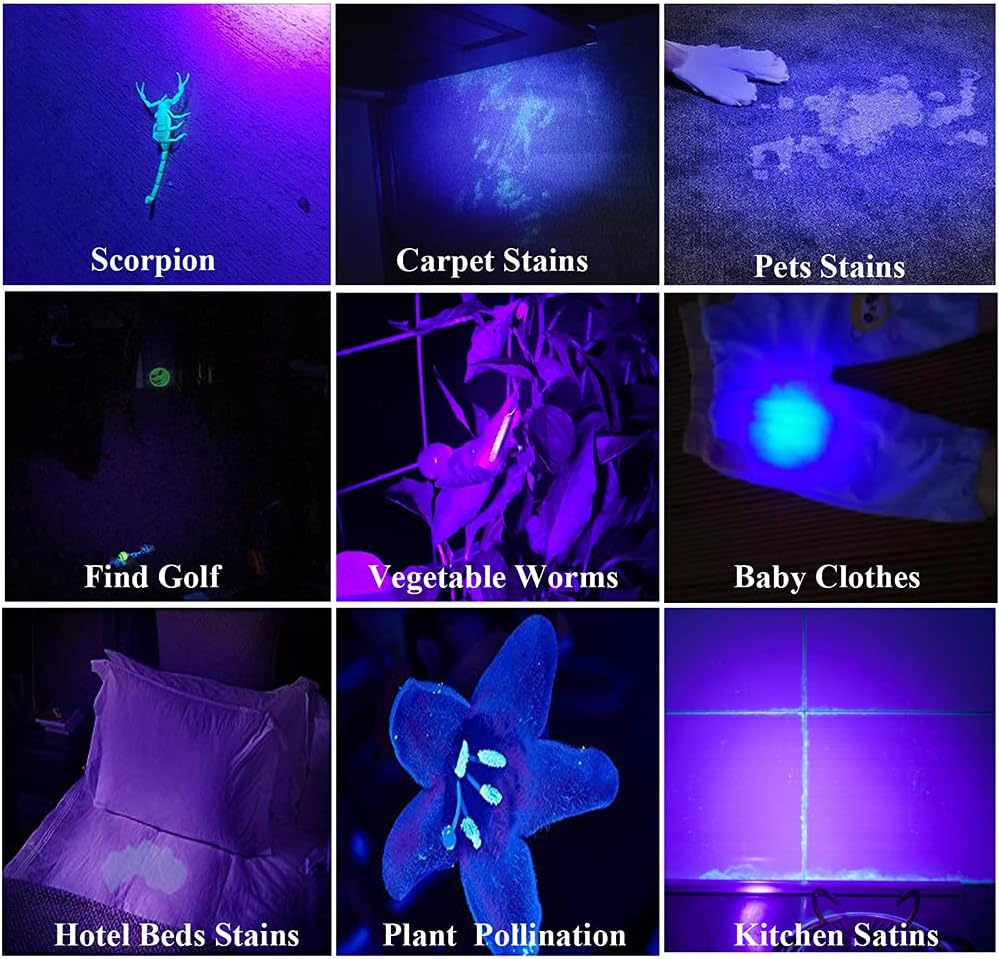 Black Light Flashlight UV Flashlight Rechargeable Ultraviolet 385-395nm T17793
