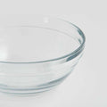 Clear Elevated Glass Bowl Feeder D234