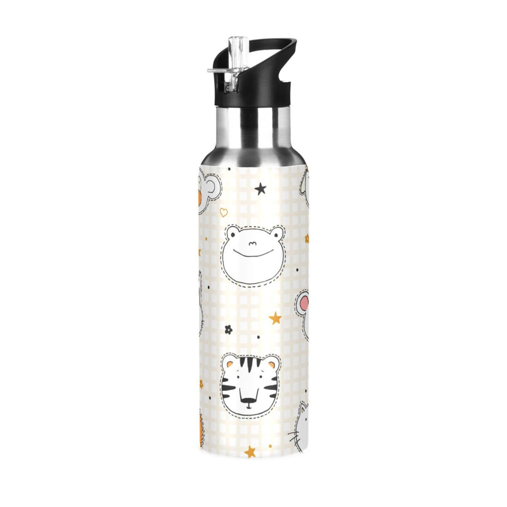 Stainless Steel Insulated Water Bottle with Straw Lid F5288