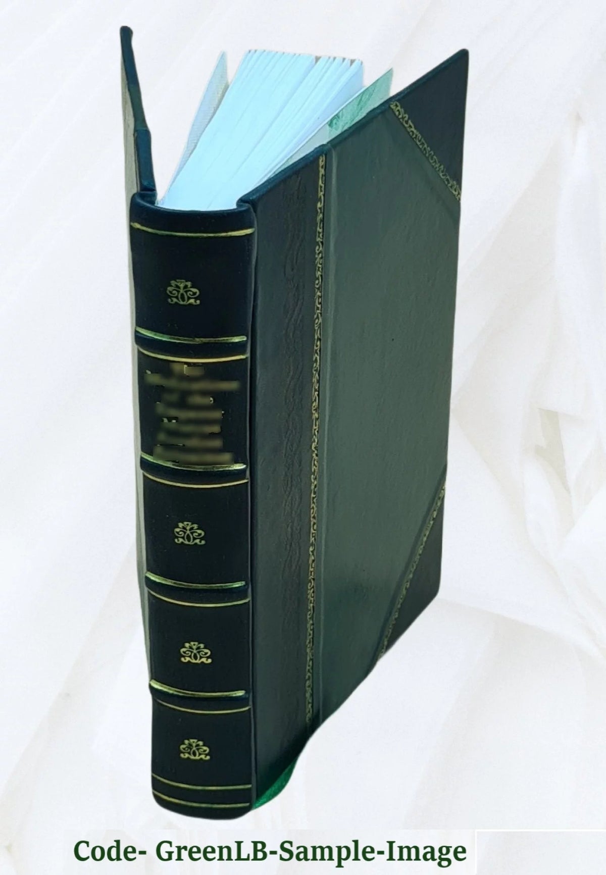Leather Bound Book C826