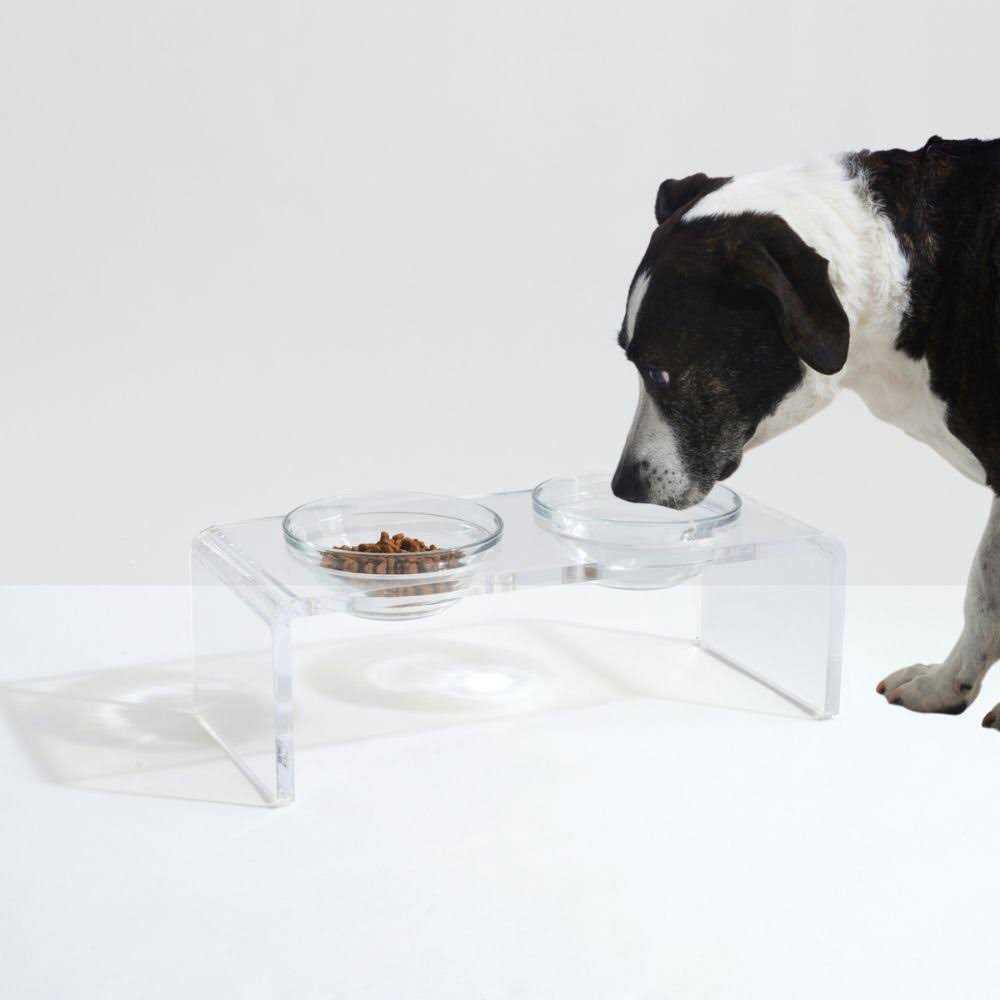 Clear Elevated Glass Bowl Feeder D234