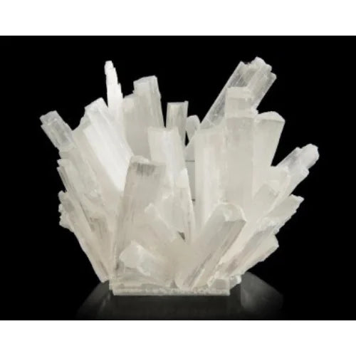 Decorative Bowl S76362